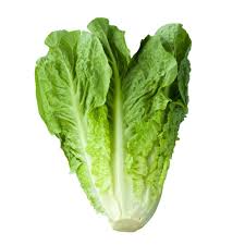 Alface Romana Orgânico-0