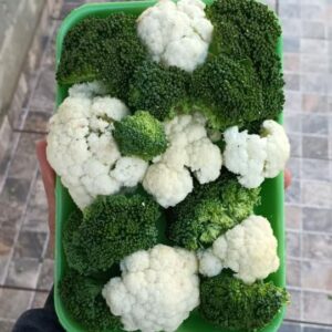 Mix de Brocólis e Couve flor Orgânico